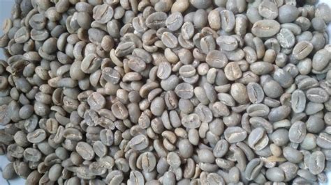 Export Biji Kopi Mentah Sumatera Arabika G1 from Indonesia by CV. Angga Prima,Cheap Price