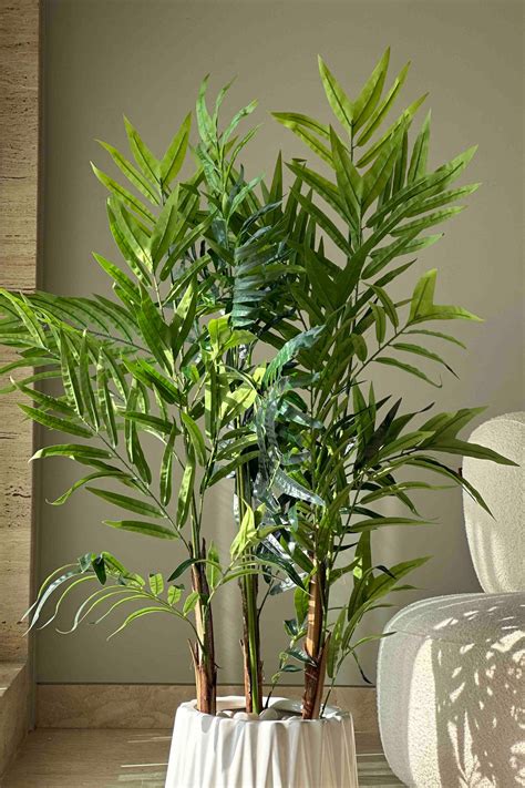 Tall Plants