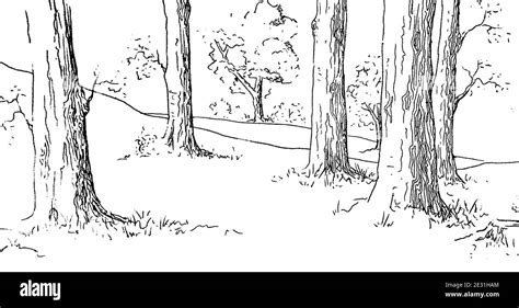 Forest Outline Drawing