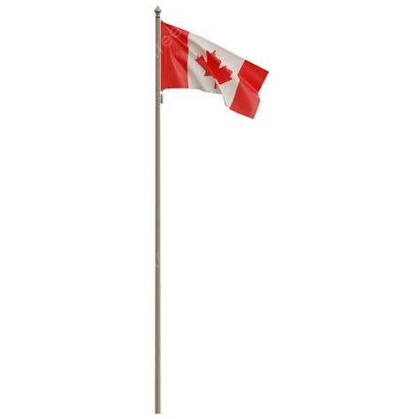canada flag  pole canada flag waving canada flag waving