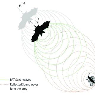 echolocation behavior  natural bats  scientific diagram