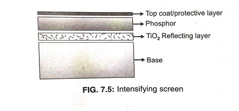 Intensifying Screen In X Ray Radiologystar