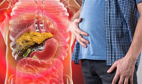 Swollen tummy could signal fatty liver disease - Freeschi