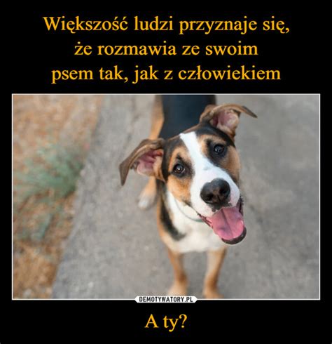 Większość ludzi przyznaje się że rozmawia ze swoim psem tak jak z