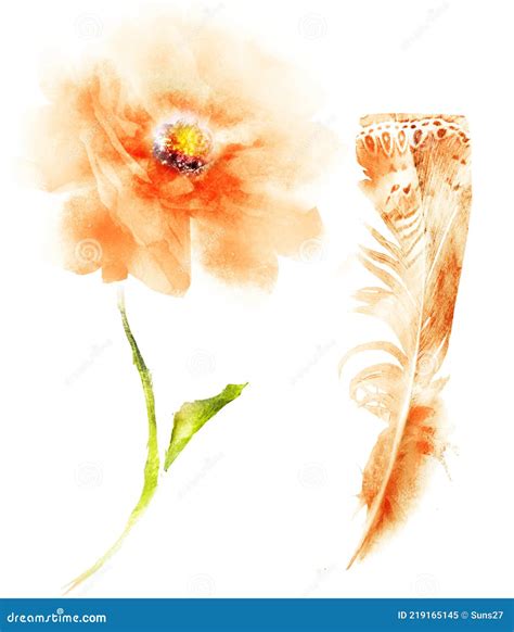 Watercolor Flower And Feather Isolated On White Stock Illustration