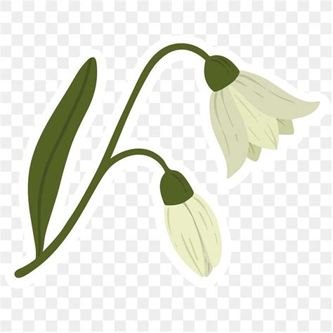 snow drop flower png  transparent png