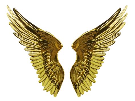 Angel Gold Wings Png Cutout Image Isolated Objects Textures For