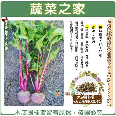 【蔬菜之家滿額免運00c19】大包裝福康甜菜根種子55克約4000顆一代交配，中熟品種，葉片綠色 露天市集 全台最大的網路購物市集