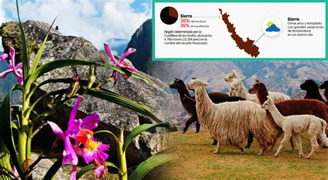 Sierra Cuál es el clima fauna y flora de la región natural del Perú