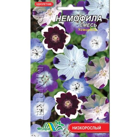 Семена Немофила смесь разные цвета однолетник низкорослый 0.15 г (ID ...