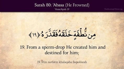 Quran 80 Surah Abasa He Frowned With English Translation HD Quran