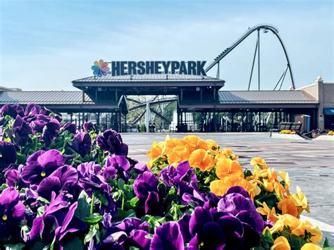 2025 Holiday Gift Ideas From Hershey, PA
