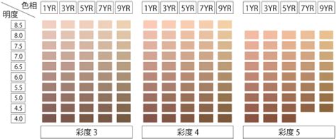 skin tone color