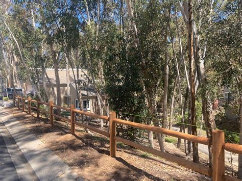 The Woods - Lake Forest