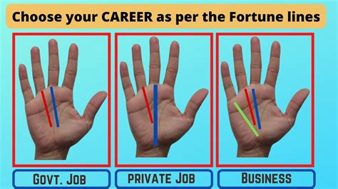 Govt Job Or Private Job Or Business Lines In Hand Palmistry Youtube