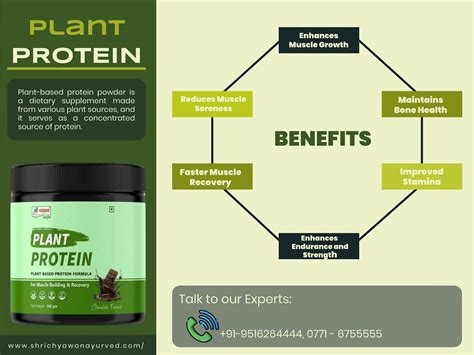 Plant Protein Powder Best Plant Protein In India Flickr