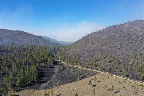 Medio Ambiente Informa Que Todos Los Incendios Forestales Han Sido