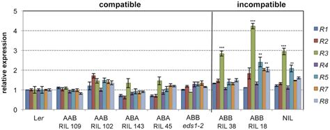 Effects Of R Expression With Different Allelic Combinations At Srf