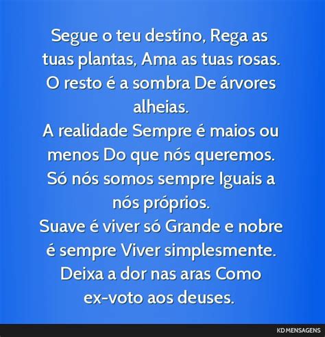 Segue O Teu Destino Rega As Tuas Plantas