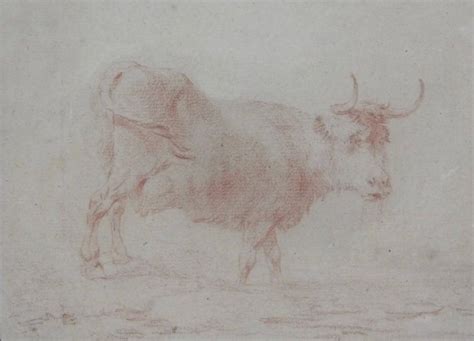 Ecole Flamande Xviii Etude De Vache Catawiki