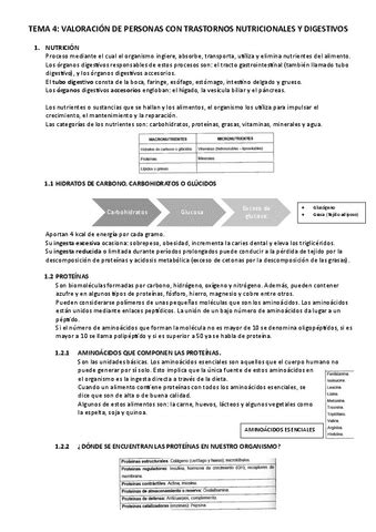 TEMA 4 2023 Adulto II J Pdf