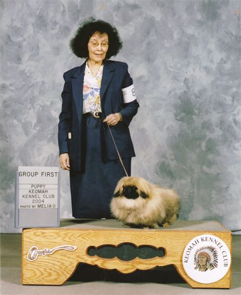About Happy Tail Pekingese