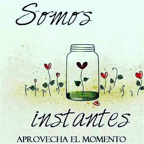 Somos Instantes Aprovecha El Momento Frases