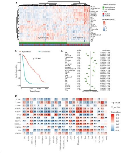 Immune Landscape Of Glioma A Heatmap Of Ssgsea Scores Of