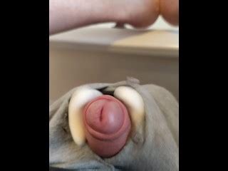 お風呂の浴槽をザーメンで満たす Pornhub Gay