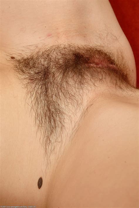 Brunette Teen Alexandra Exposes Her Hard Nips Toys Her Hairy Pussy In