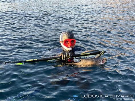 Salvimar Ares review - Apnea Passion Magazine