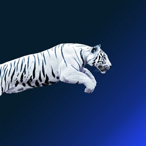 Globalization in Asia: Flows and networks shaping the Asian Century