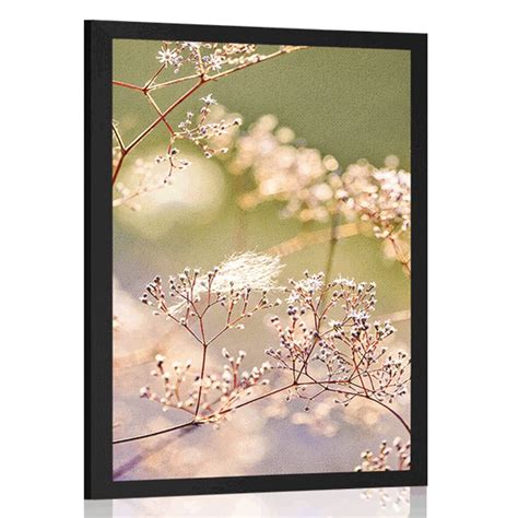 Poster Stillleben Mit Blumen Dovido De