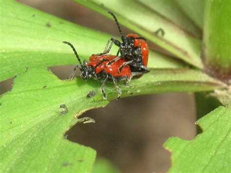 Mature Nature On Tumblr