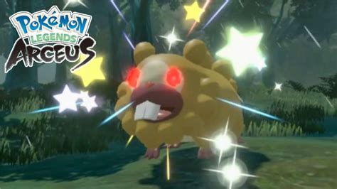 I Caught God Shiny Alpha Bidoof Pokémon Legends Arceus YouTube