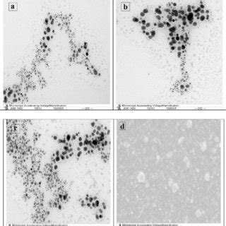 Representative Tem Micrographs Showing Spherical Agnps Synthesized By