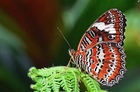 Naked Capitalism Finance Economics Politics Power Page Of