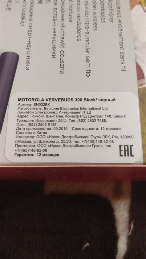 Беспроводные наушники Motorola VerveBuds 300, Black — купить в интернет ...