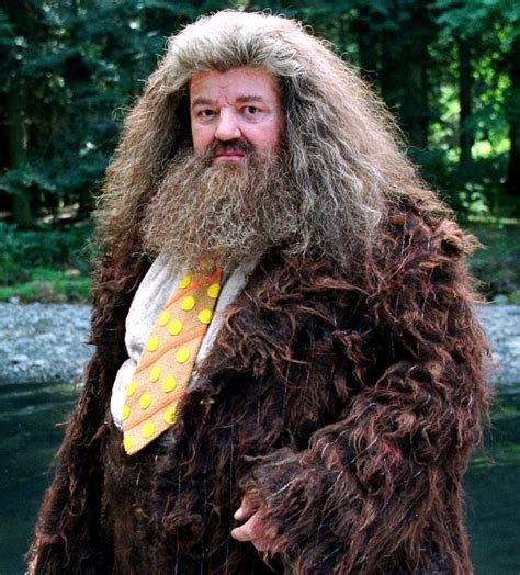 Rubeus Hagrid Harry Potter World
