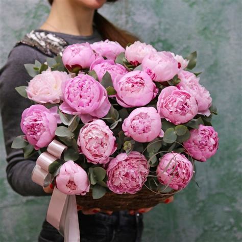 Купить корзину пионов | Интернет-магазин цветов dakotaflora.com