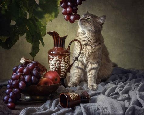 are grapes bad for cats 1