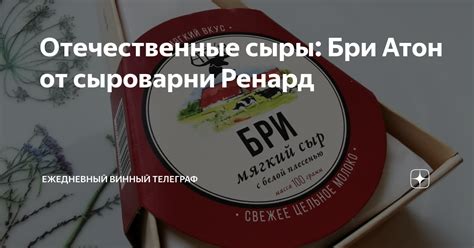 Отечественные сыры: Бри Атон от сыроварни Ренард | Ежедневный винный ...