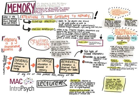09 Memory Diagram Quizlet