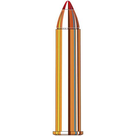 Hornady Leverevolution 45 70 Govt 325gr Ammunition W Ftx Bullets 20