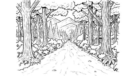 Dibujo De Bosque Para Colorear Y Pintar 27184