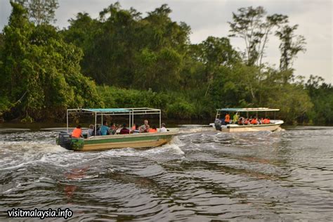 klias wetland river cruise