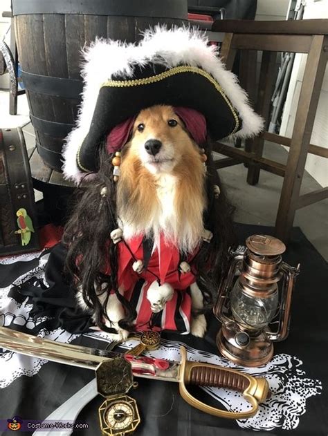 Pirate Captain Jack Sparrow Halloween Costume Contest At Costume Works