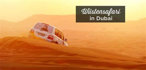 Besten W Stensafari In Dubai Tipps W Stentour Desert