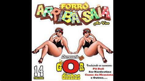 ARRIBA SAIA CHURRASCO DAS GORDINHAS VOL 15 YouTube