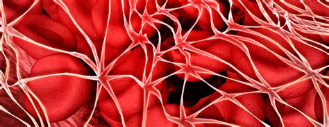 fibrin degradation disseminated intravascular coagulation